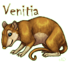 Venitia_Rat.png