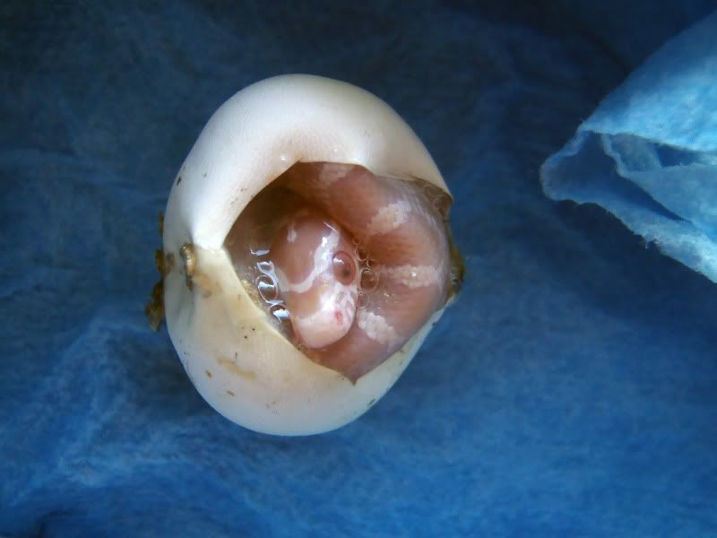 04-27-2012006.jpg