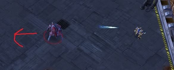 [image loading]