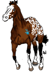 Horse-lines-My-first-tag.png