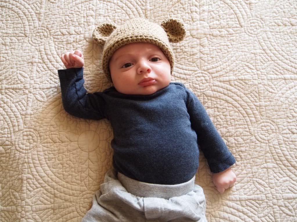 Baby Bear Hat