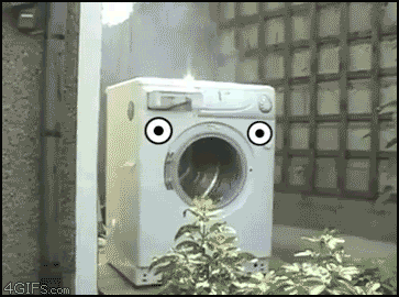 380d8140.gif
