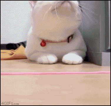 a4779217.gif