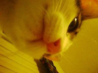 http://i973.photobucket.com/albums/ae219/Jcmcdonough88/0519002228-1.jpg