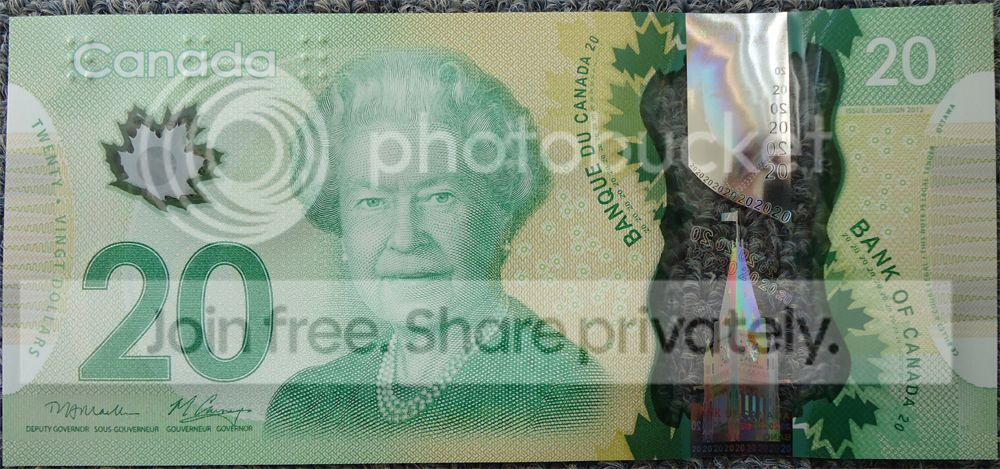 Possible-20$-Polymer-Insert-?