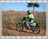 th_kawasakiklx250s199.jpg