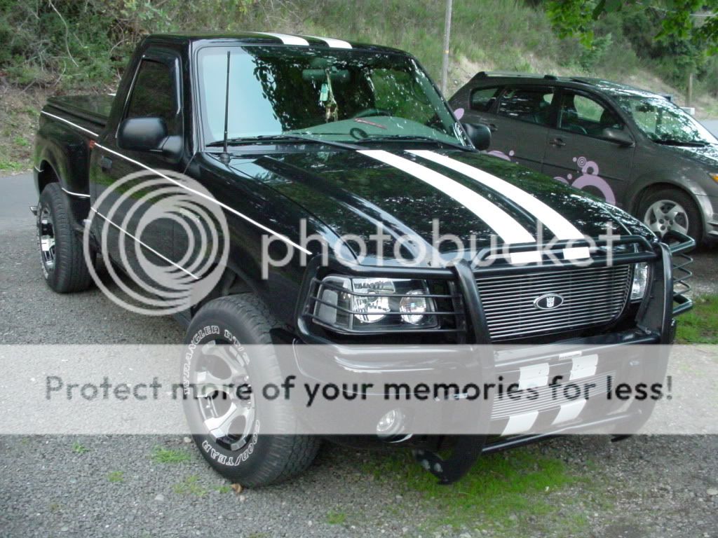 2003 Ford ranger brush guard #3