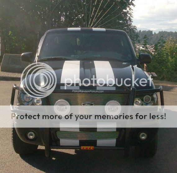 Ford ranger bush guard #5